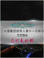 G20DVD